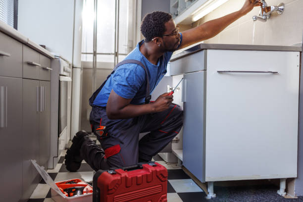 Best Sprinkler Systems  in Enola, PA